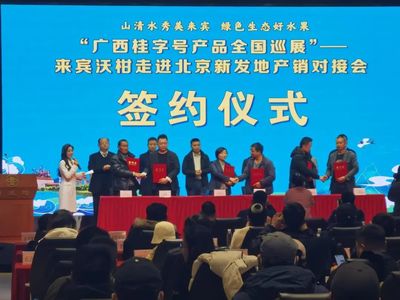 武宣柑橘甜蜜进京,拓宽&ldquo;新&rdquo;销路