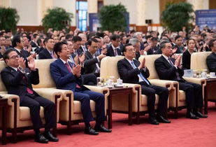 王安 发挥工程咨询在交通项目国际合作中的先导作用